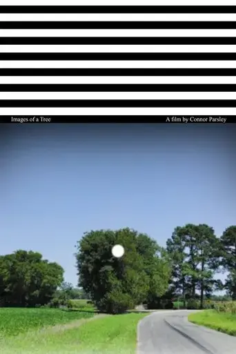 images-of-a-tree-2025