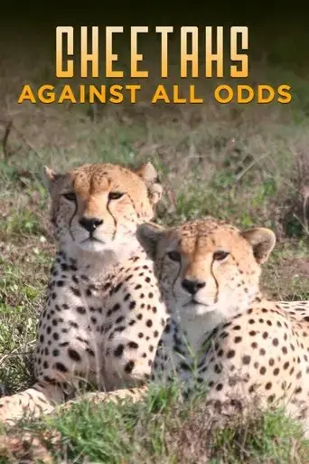 cheetahs-against-all-odds-2009