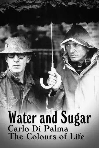 water-and-sugar-2017