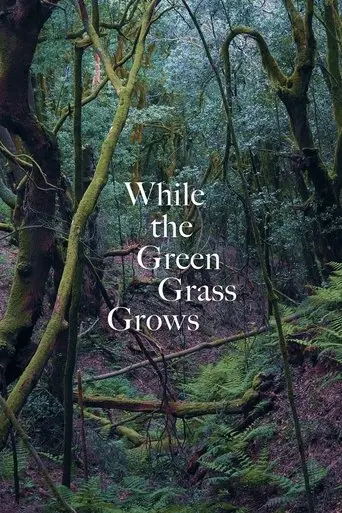 while-the-green-grass-grows-2025