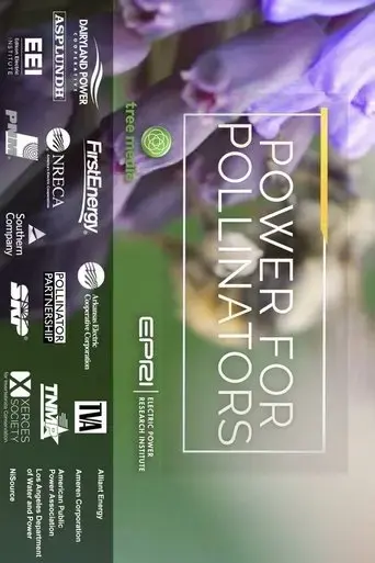 power-for-pollinators-2020
