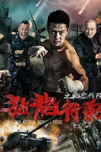 Dragon Action: Secret Code (2019)