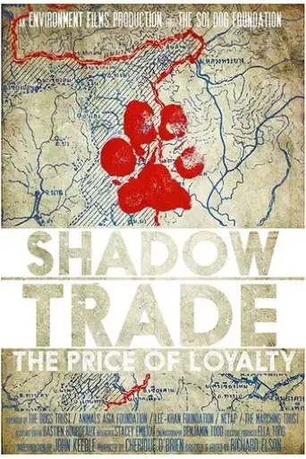 shadow-trade-2016
