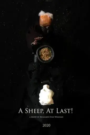 a-sheep-at-last-2020