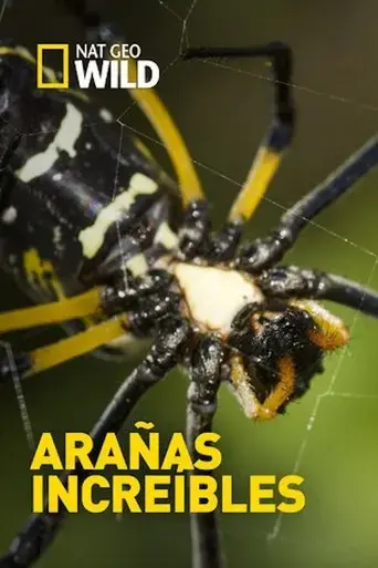 incredible-spiders-2016