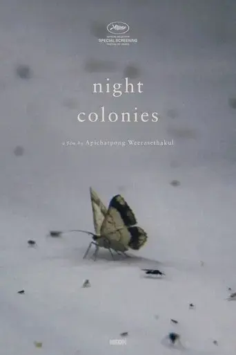night-colonies-2021