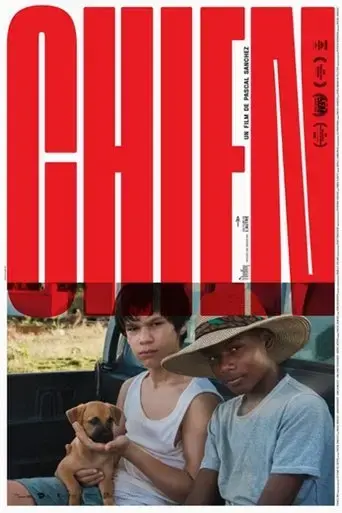 chien-2019