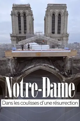 notre-dame-of-paris-rising-from-the-ashes-2021