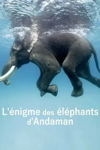 l-enigme-des-elephants-d-andaman-2023
