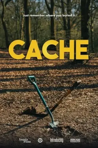 cache-2021