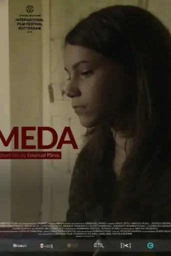 meda-2016