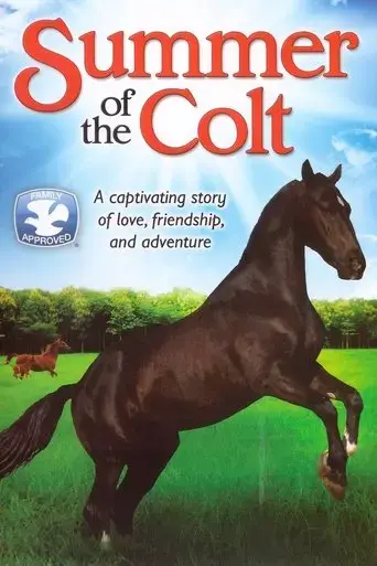 summer-of-the-colt-1991