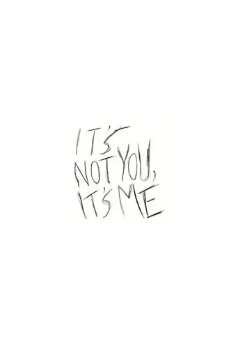 it-s-not-you-it-s-me-2013