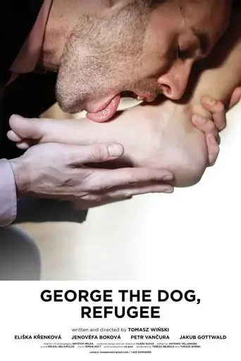 george-the-dog-refugee-2019