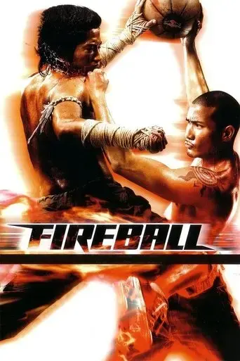 fireball-2009