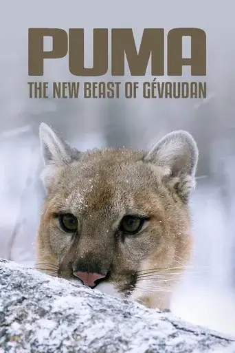 cougar-on-the-trail-of-the-ghost-cat-2019