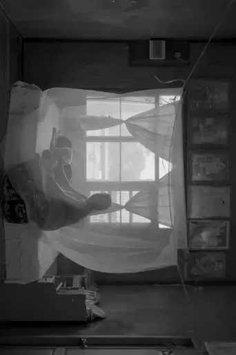 before-sunset-2023
