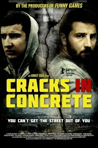 cracks-in-concrete-2014