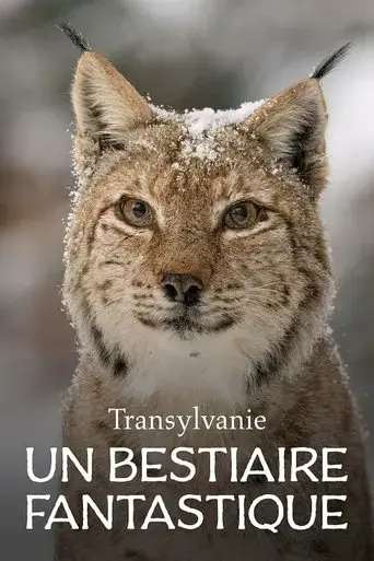 transylvania-s-wild-side-2024
