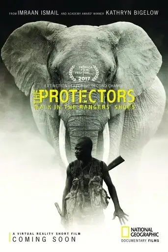 the-protectors-2017