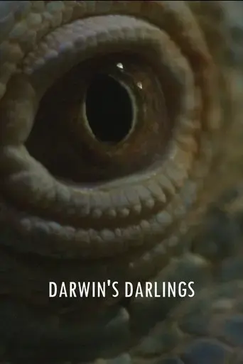 darwin-s-darlings-2025