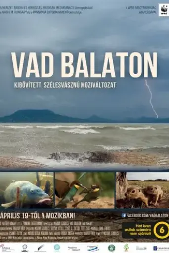 vad-balaton-2018