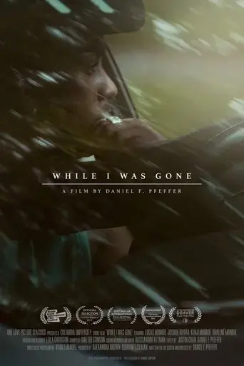 while-i-was-gone-2017