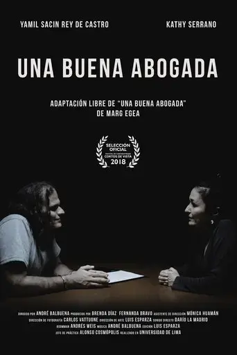 a-good-lawyer-2018