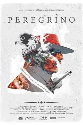 peregrino-2020