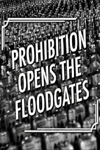 prohibition-opens-the-floodgates-2006