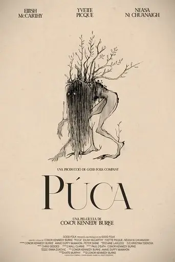 puca-2025