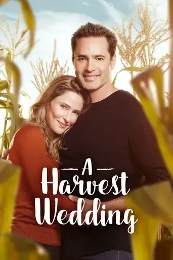 a-harvest-wedding-2017