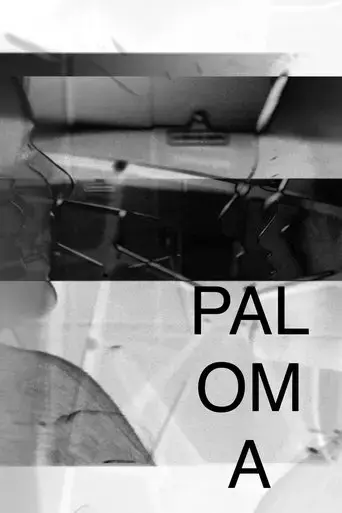 paloma-2024