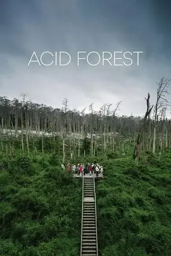 acid-forest-2018