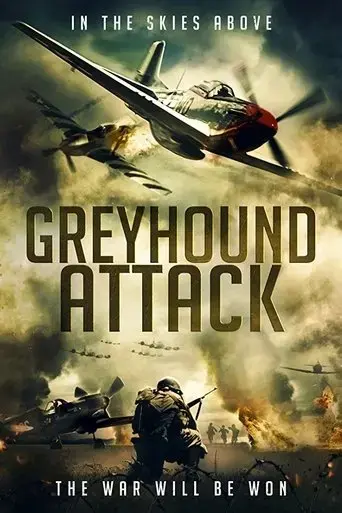 greyhound-attack-2019