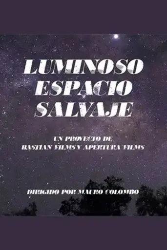 wild-gleaming-space-luminoso-espacio-salvaje-2024