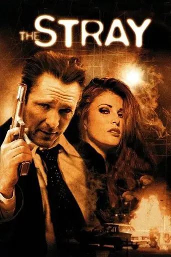 the-stray-2000
