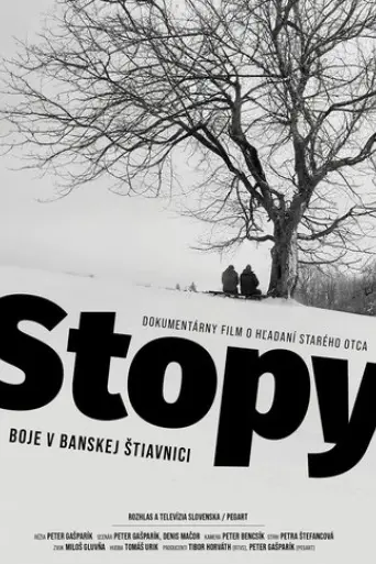 footprints-fighting-in-banska-stiavnica-2023