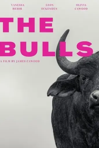 the-bulls-2023