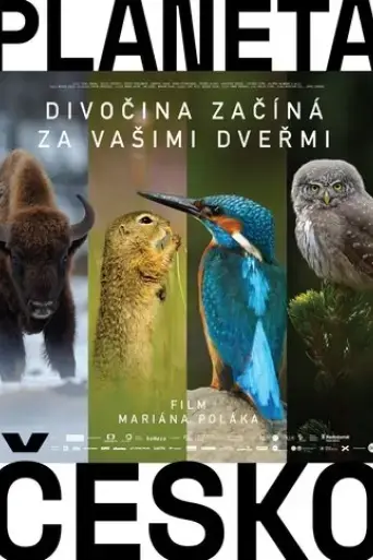 planeta-cesko-2018
