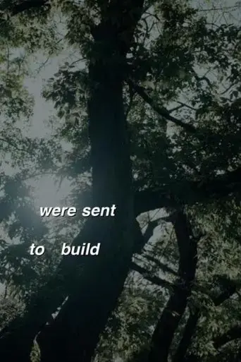 perfected-grammar-2024