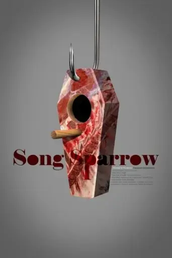 song-sparrow-2019