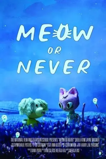 meow-or-never-2020