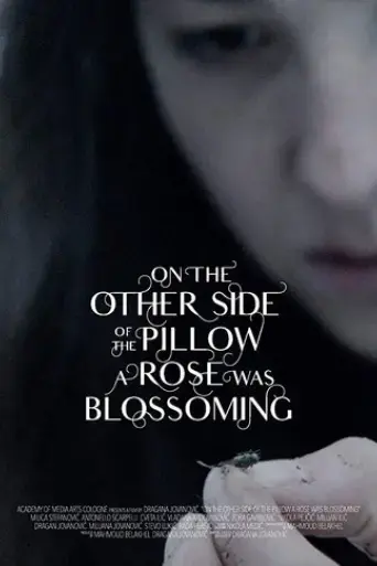 on-the-other-side-of-the-pillow-a-rose-was-blossoming-2018