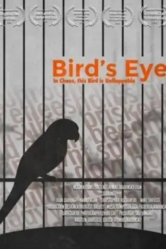 bird-s-eye-2020