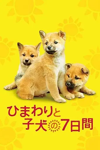 seven-days-of-himawari-and-her-puppies-2013
