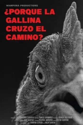 por-que-la-gallina-cruzo-el-camino-2024