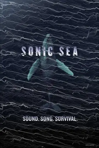 sonic-sea-2016