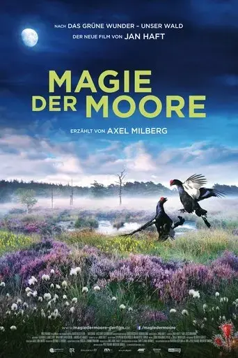 magie-der-moore-2015