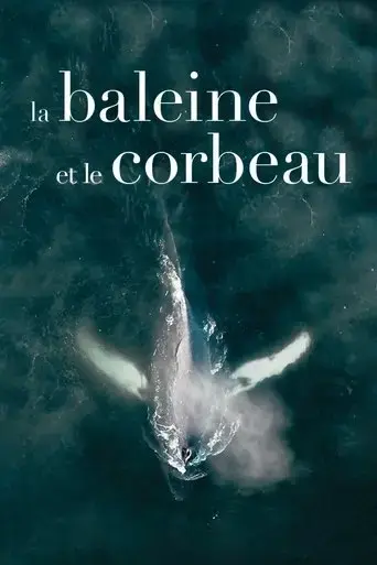 the-whale-and-the-raven-2019